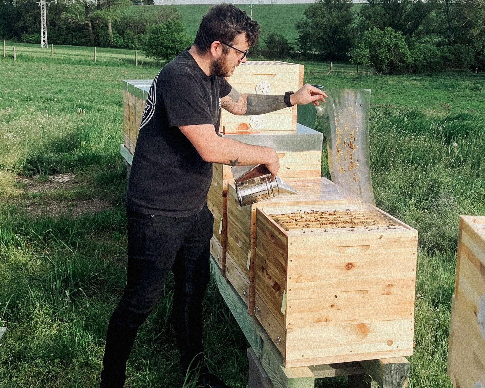 Péče o včelstvo: Klíčové kroky pro zdravé a prosperující včelstvo - Davidova ekologická včelí farma